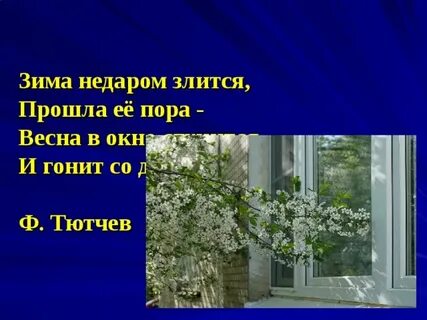 Стучится и гонит со двора