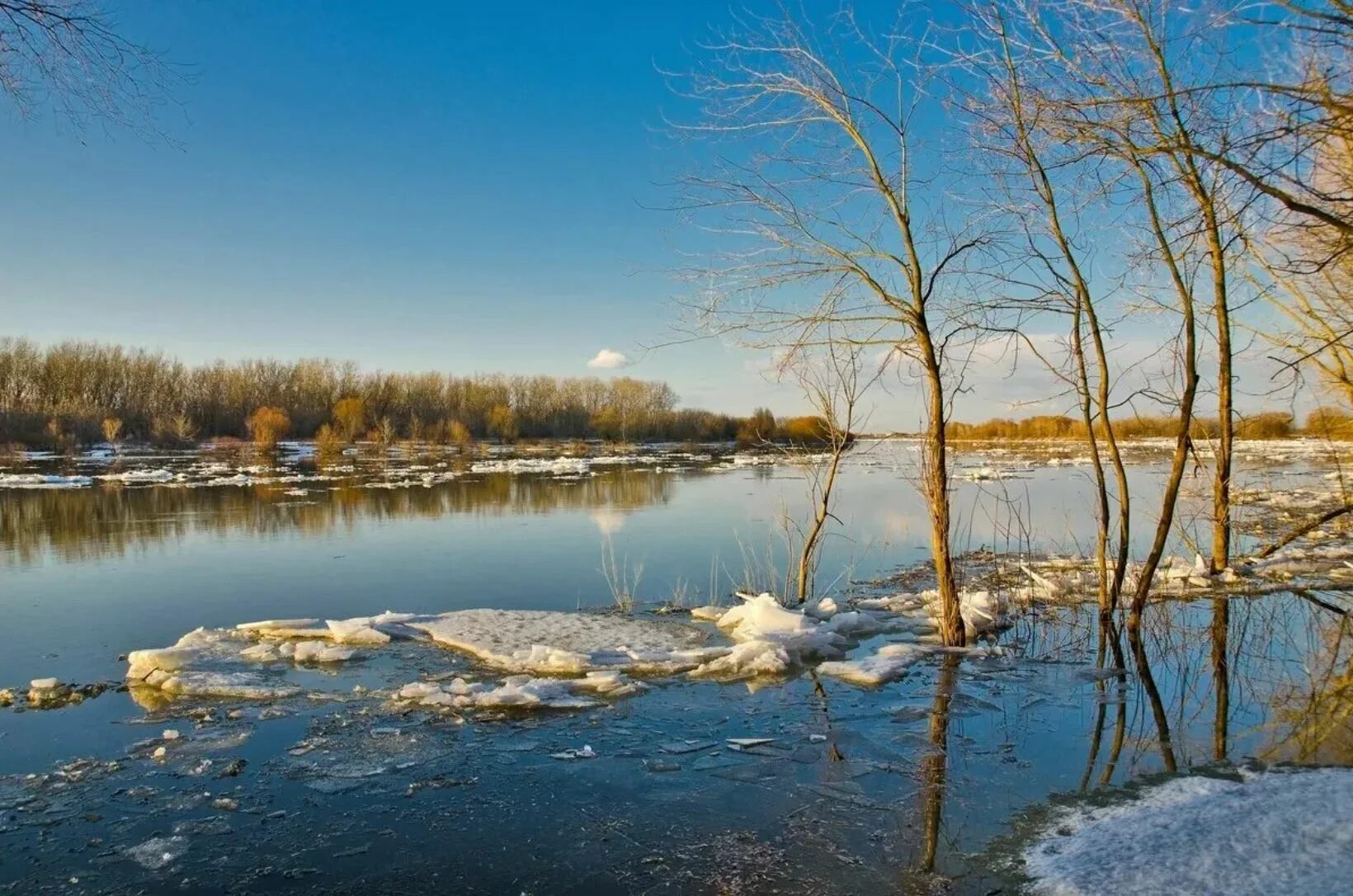 Весенний пейзаж. Весенние воды. Снилось разлив воды