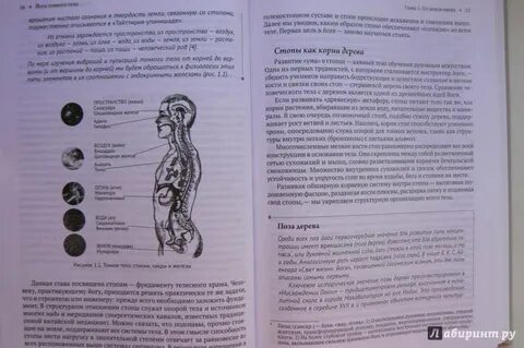 Нейрофитнес книга