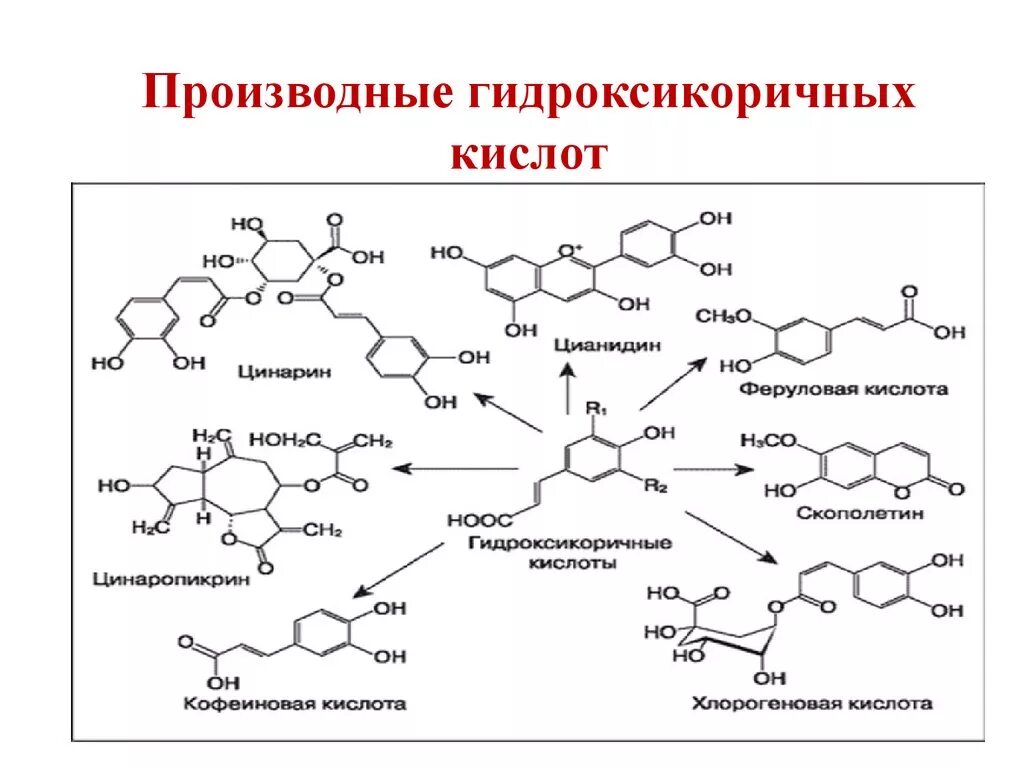 Кольцевая кислота. Оксикоричная кислота формула. Оксикоричные кислоты формула. Феруловая кислота формула химическая. Орто гидроксикоричная кислота.