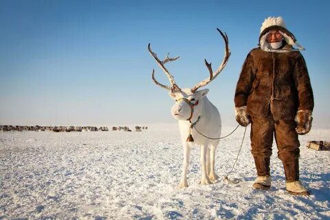 Тундра для мужчин