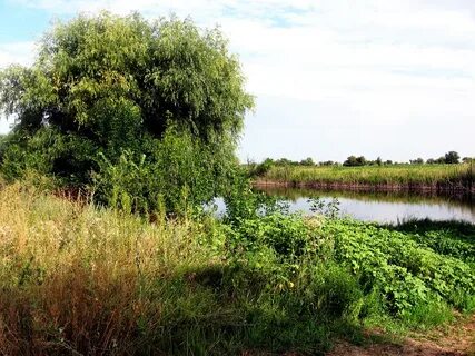 Пойме сайт