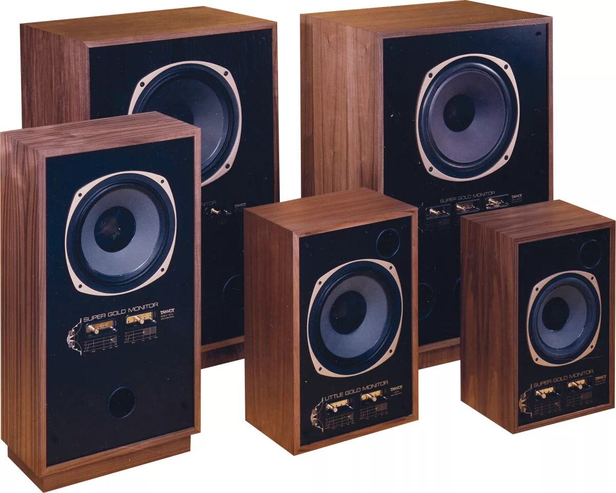 Tannoy Monitor Gold 10. Tannoy Dual concentric. Tannoy Studio Monitor. Tannoy Gold 8.