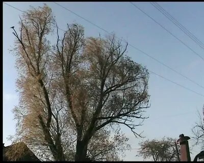 Погода бережновка николаевский волгоградский