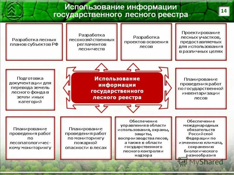 должностные лица лесной охраны