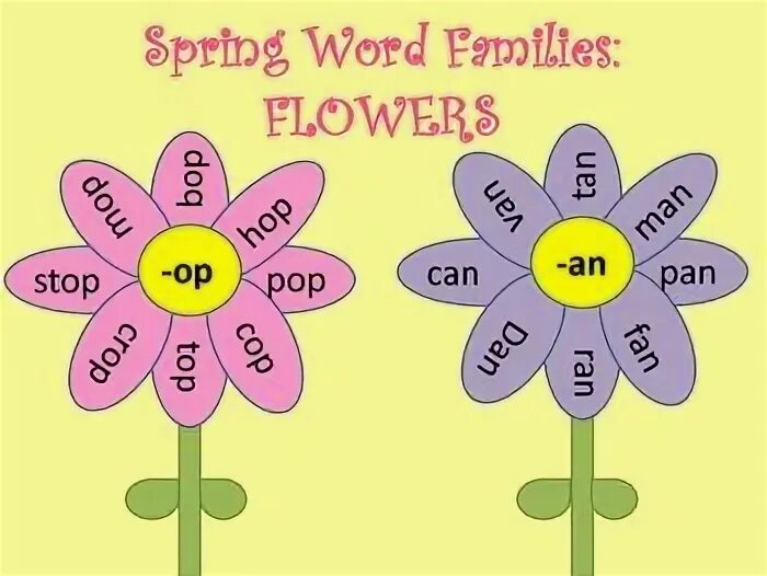 Английское слово flower. Цветок to be. цветок my family. flower word. words from flowers.