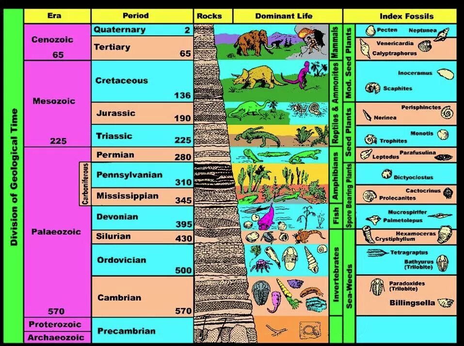 Геохронологическая таблица развития земли. Рис 44 Геохронологическая шкала. Геохронологическая шкала эпох и периодов. Геохронологическая шкала эры периоды эпохи с картинками. Эры планеты земля