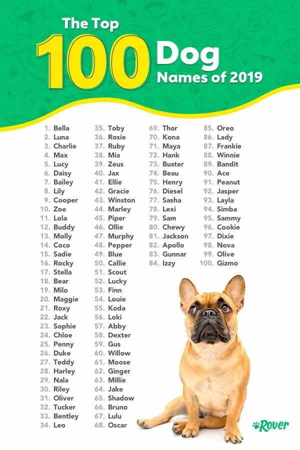 Dogs s names are