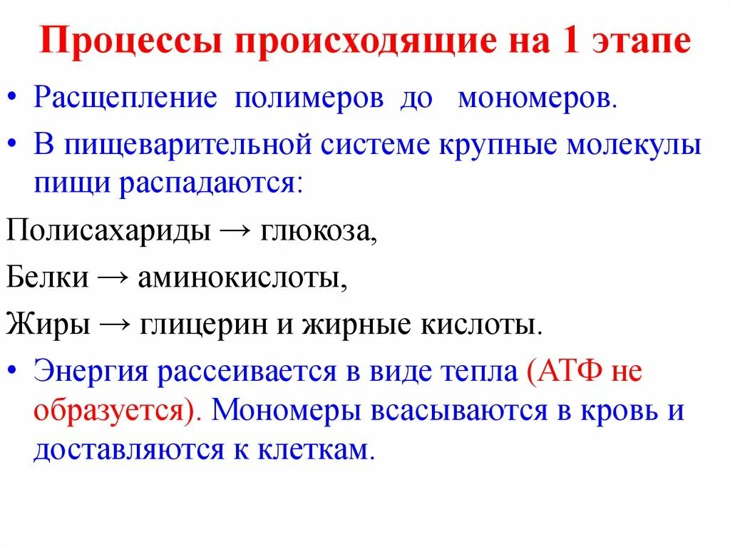 Расщепление полимеров до мономеров. Обеспечивает расщепление полимеров до мономеров. Распад полимеров до мономеров. Ферментативное расщепление полимеров до мономеров. Расщепляет биополимеры до мономеров