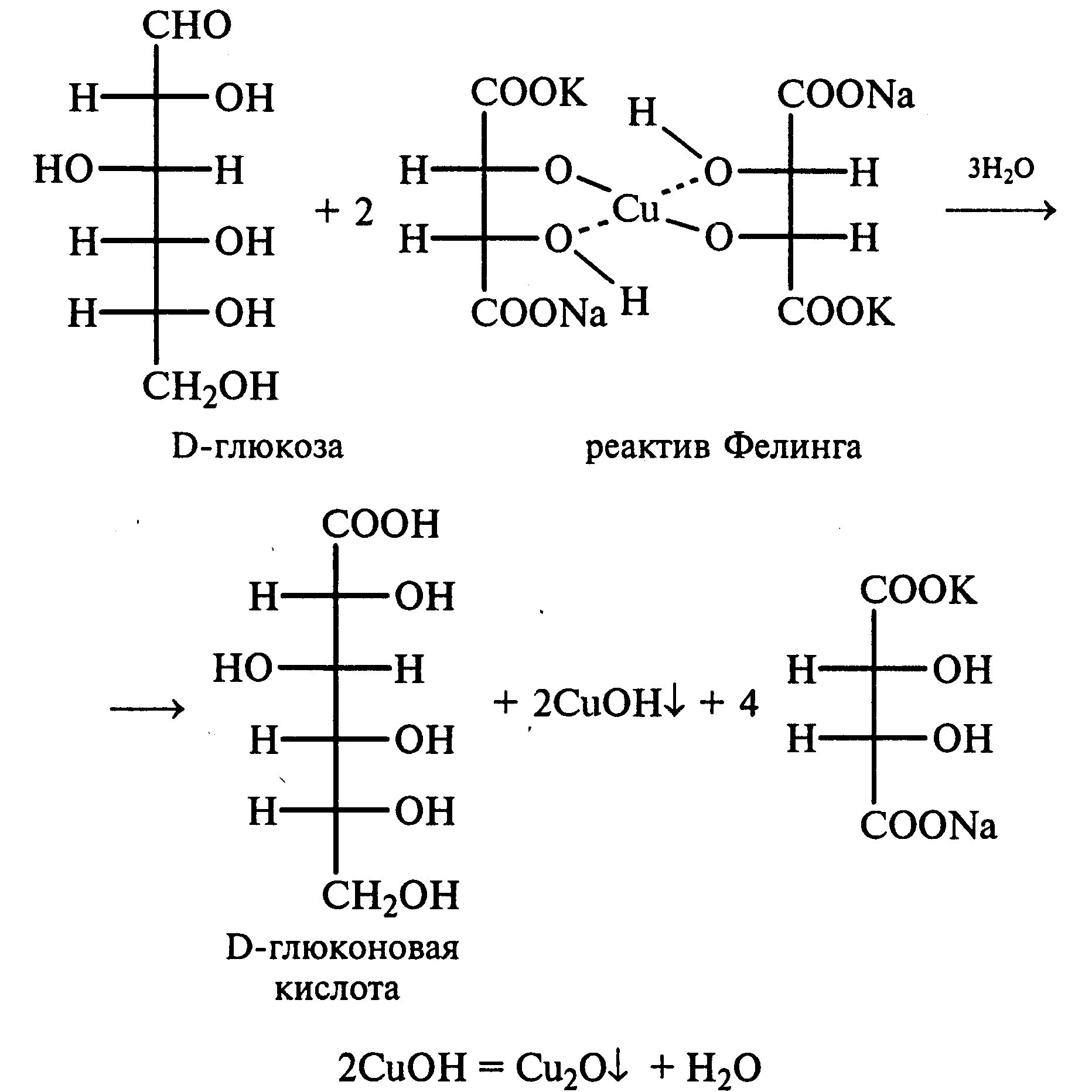 Реакция Глюкозы с реактивом Фелинга реакция. Глюкоза с реактивом Фелинга реакция. Окисление Глюкозы реактивом Фелинга. Глюкоза раствор Фелинга реакция. Фруктоза cu oh