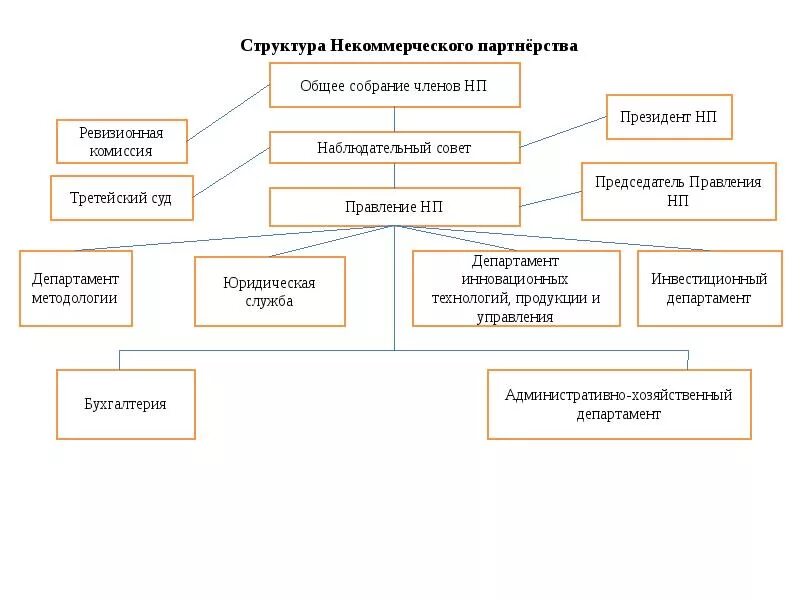 Персональный состав руководящих органов некоммерческой организации. Структура некоммерческой организации схема. Организационная структура НКО. Организационная структура предприятия АНО. Организационная структура некоммерческой организации схема.