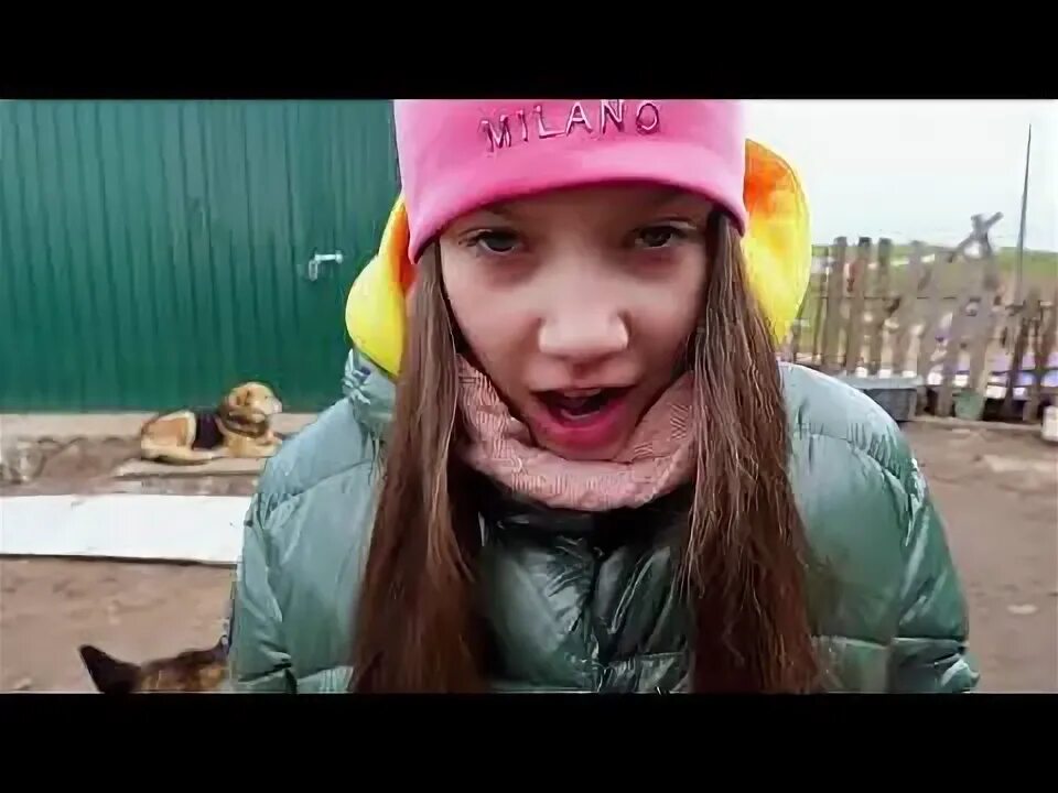 Вики шоу влог. Nos вики. Вики шоу влог. Вики шоу 2018. Эдит вики шоу.