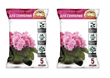 5 цветов отзывы