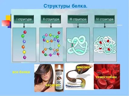 Кератиновые белки