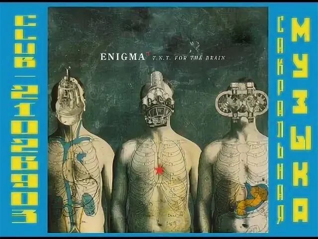 Enigma 1997 альбом. Enigma TNT for the Brain. Enigma - t.n.t. for the Brain. Обложка Энигмы for the Brain.