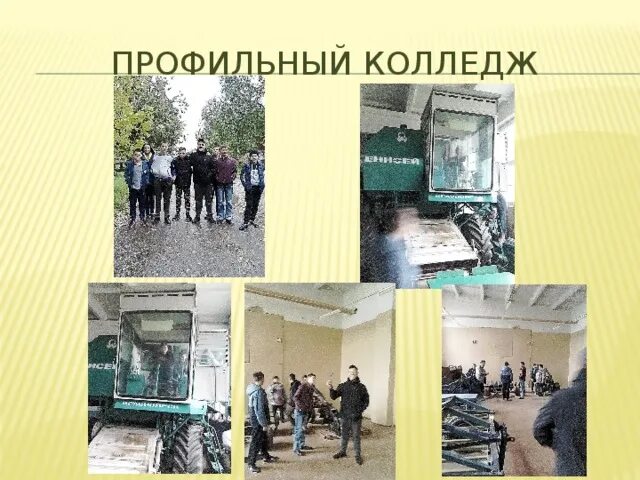 Мариупольский строительный колледж вектор. Что значит профильный колледж. Мариупольский строительный профильный колледж. Крупской. Что значит профильный колледж.