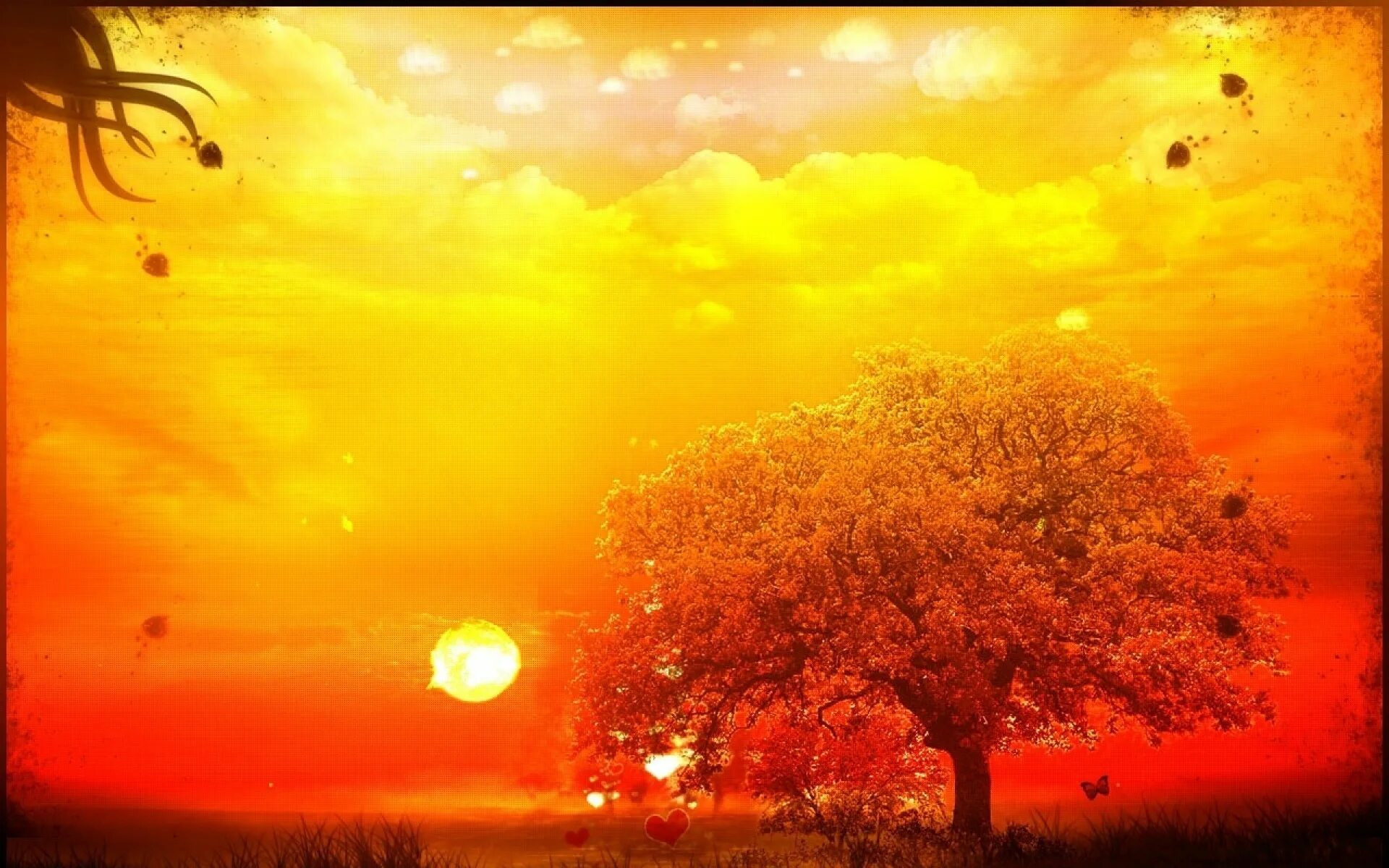Природа. Солнце. Желтое солнце. Солнечный день оранжевый блюз. Оранжевое небо.