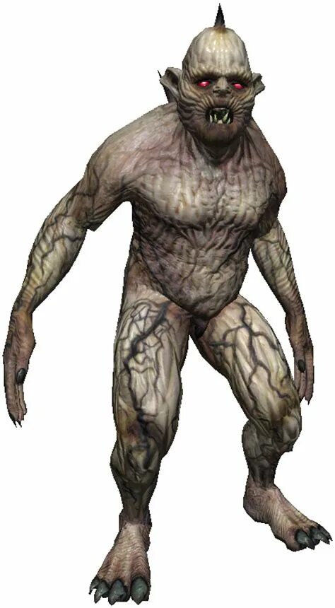 Альгуль ведьмак 3 бестиарий. Альгули ведьмак 1. Бестиарий ведьмак альгуль. Альгуль ведьмак 3 бестиарий. Альгули ведьмак 1.