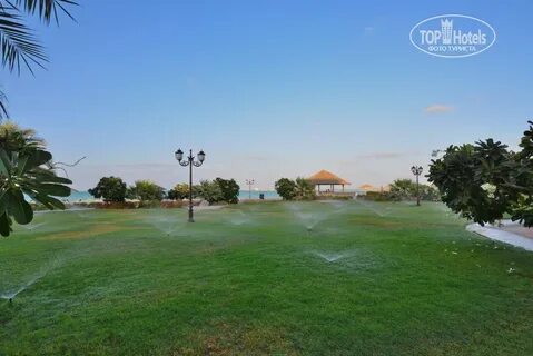 Danat jebel dhanna resort 5 отзывы