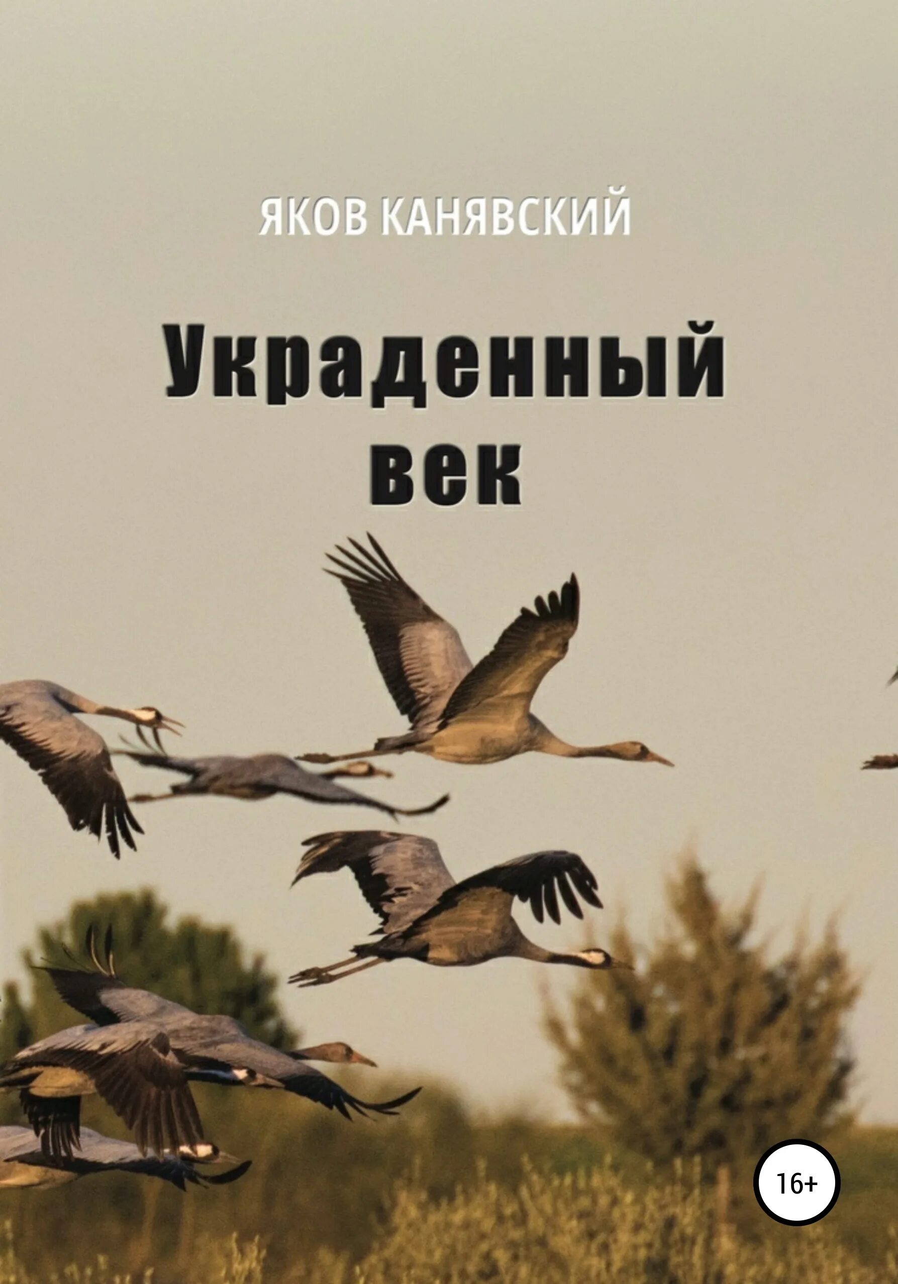 Книга про украденную картину с птицей. Украли век