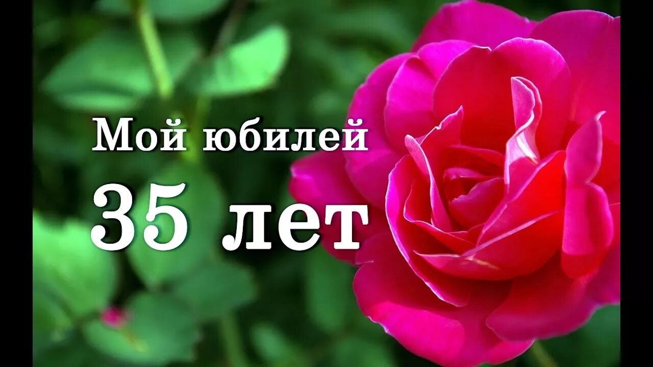 Мой юбилей. Мой юбилей 35. 35 Лет девушке поздравления. С юбилеем 35 лет женщине. Юбилеи 35 видео