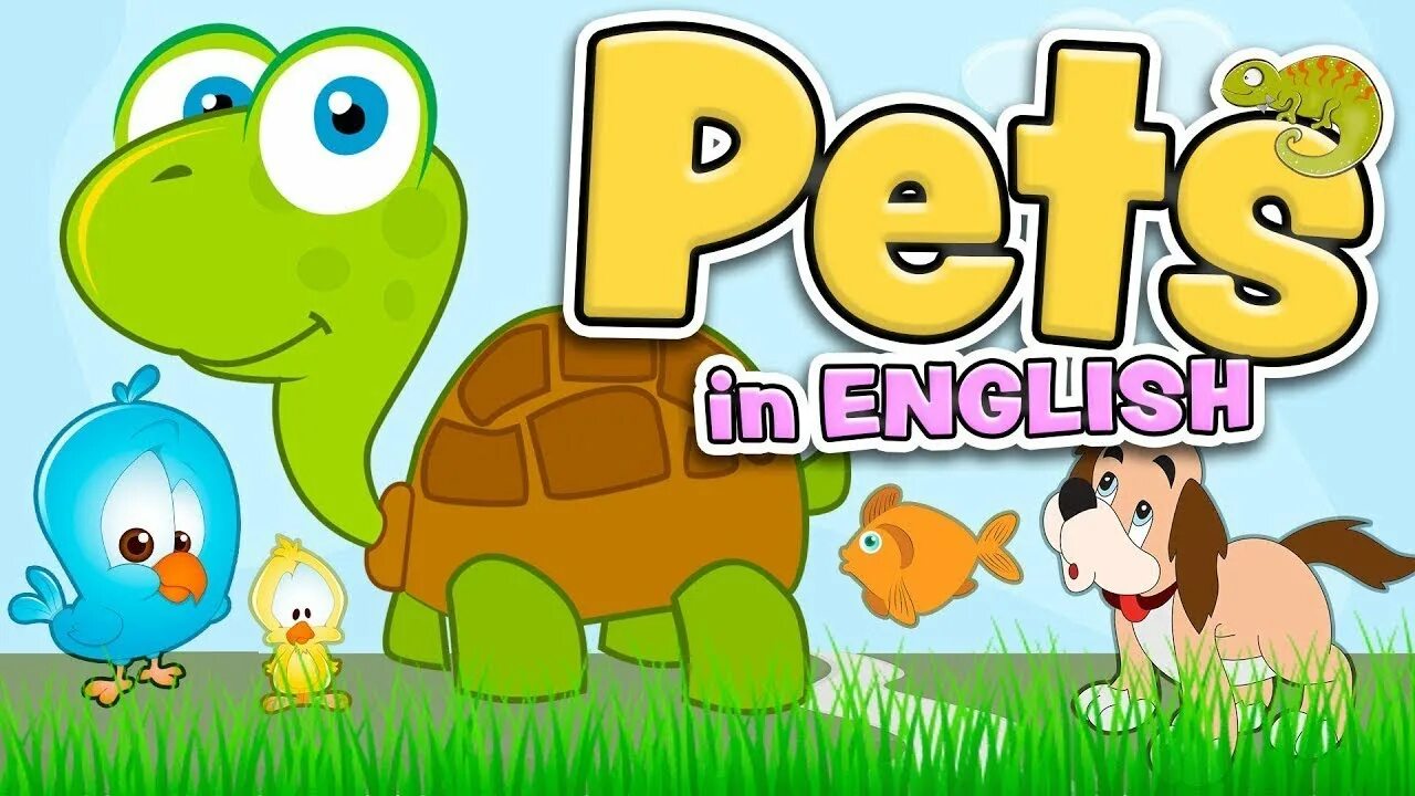 What is the pets name. Pets для детей. питомцы на английском. pets на английском для детей. надпись pets.