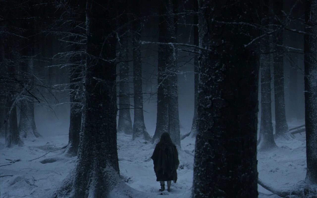 Ужасный холод. Страшный зимний лес. Ночной лес. Мрачный зимний лес. Страшный лес.
