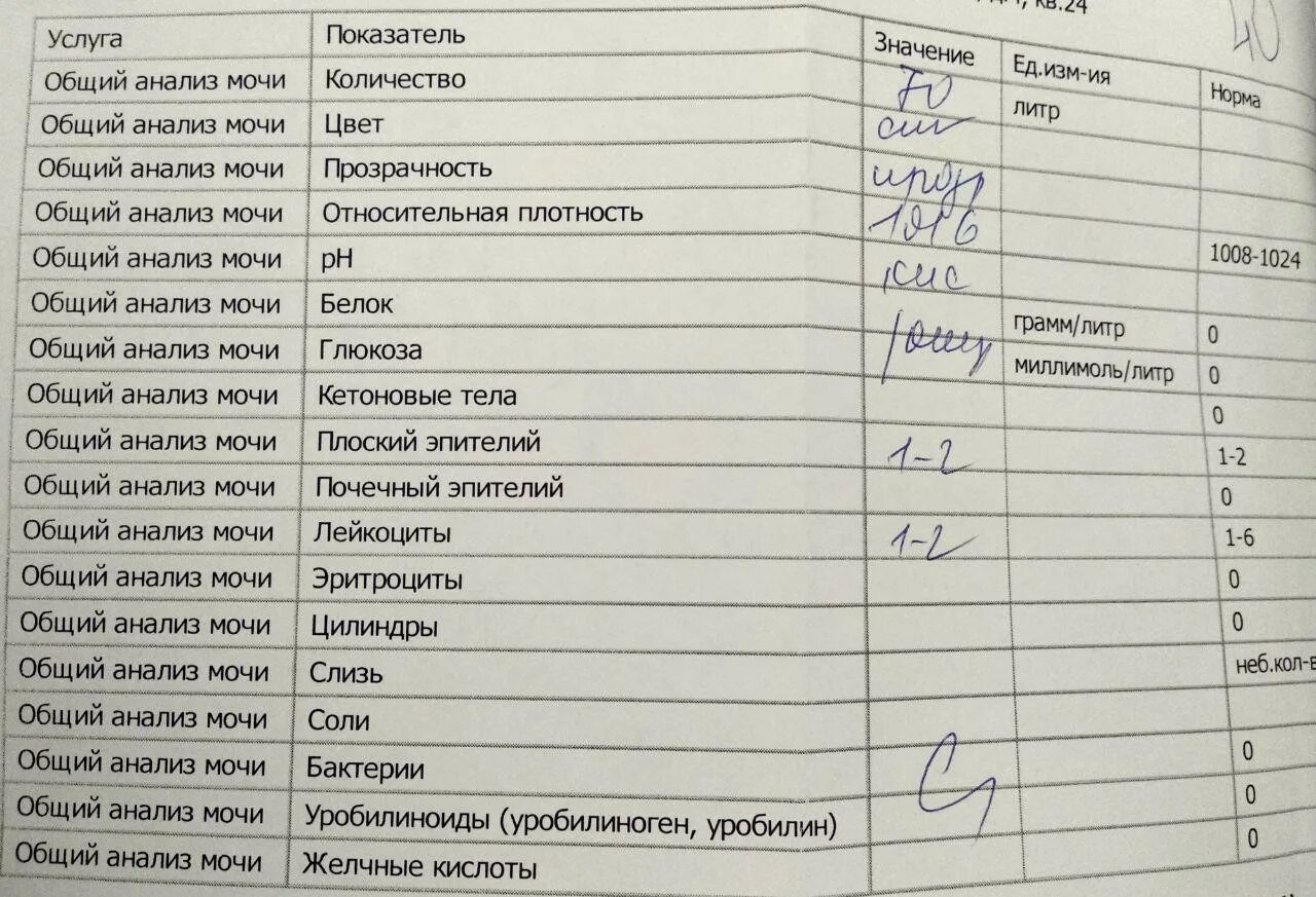 Что значит бактерии в моче у мужчин. Общий анализ мочи соли. Общий анализ мочи бактерии норма. Показатель соли в общем анализе мочи. Анализ мочи бактерии норма.