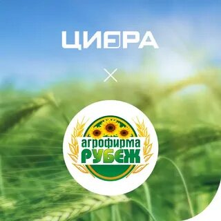 Агрофирма 5 30 15