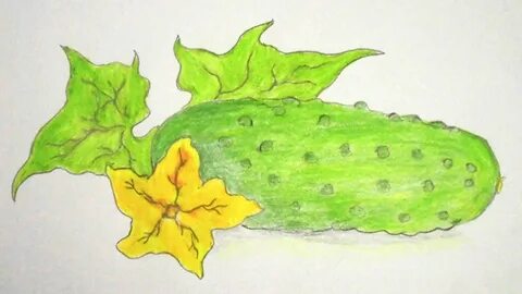Нарисовать огурец карандашом для детей
