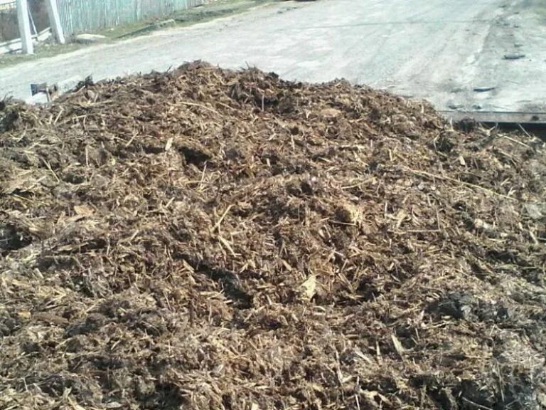 Подстилочный навоз. Навоз. много навоза. кучка навоза.