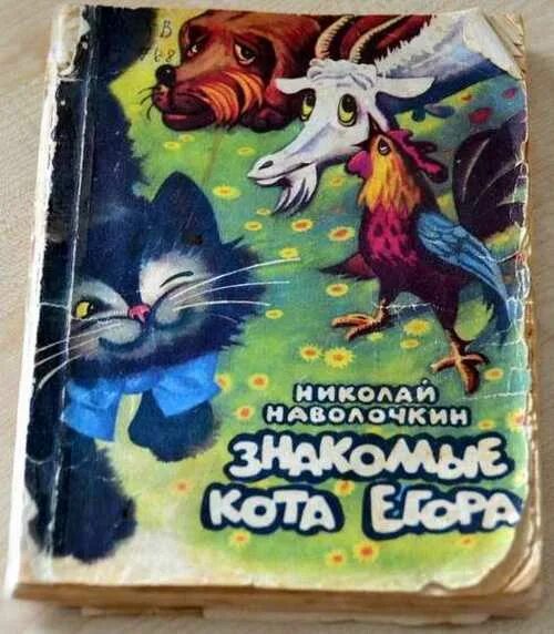 Знакомые кота Егора Наволочкин. Книга н. Наволочкина знакомые кота Егора. Приключения кота Егора. Каникулы кота егора