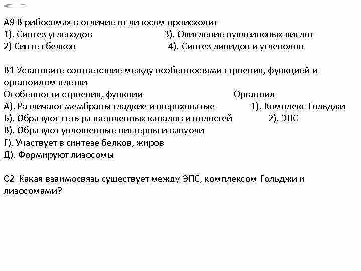 В отличие от лизосом происходит