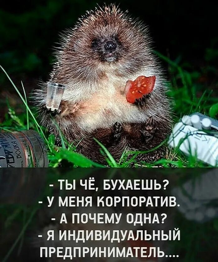 Включи что нибудь повеселей