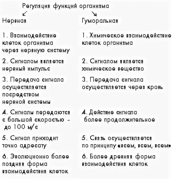 Сравнение нервной и гуморальной. Сравнительная таблица нервной и гуморальной регуляции. Нервная и гуморальная регуляция таблица. Сравнение нервной и гуморальной регуляции таблица 8 класс. Сравнение нервной и гуморальной регуляции таблица.