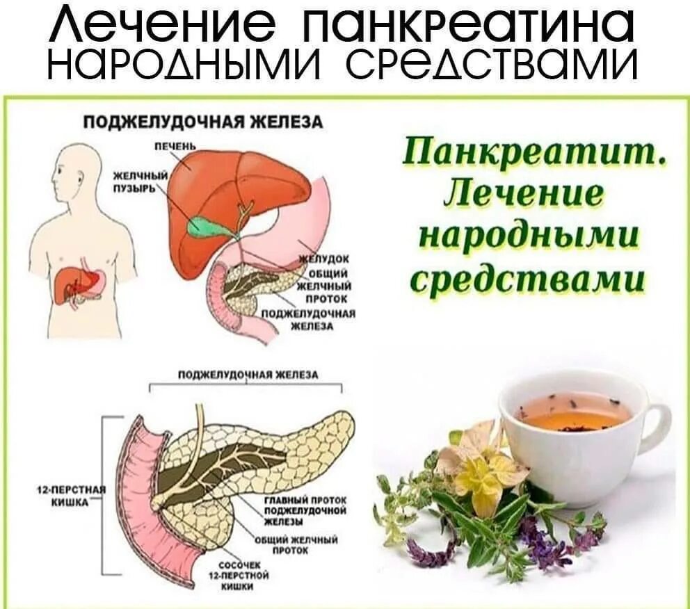 Как проверить печень и поджелудочную