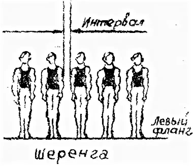 Шеренга и колонна в физкультуре. Схема построения в колонну по три. Построение в шеренгу по три.. Шеренга колонна интервал дистанция. Как называется правая левая оконечность строя физкультура