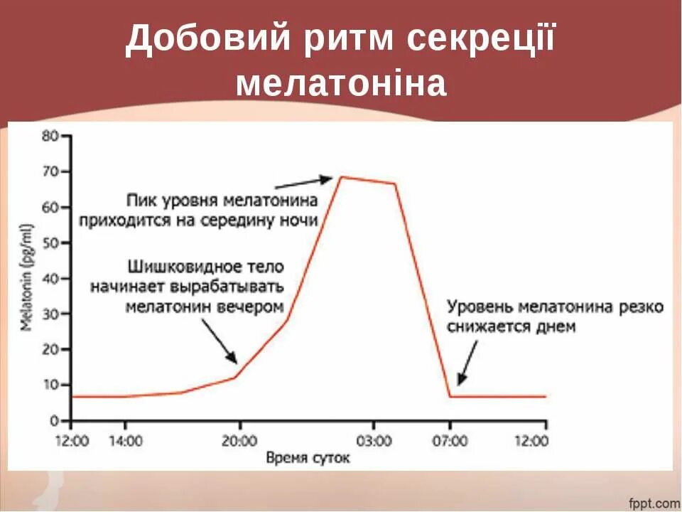 Какой гормон вырабатывается во время сна. Мелатонин ритм суточной секреции. суточный ритм секреции мелатонина. пик секреции мелатонина. суточный ритм выработки гормонов.