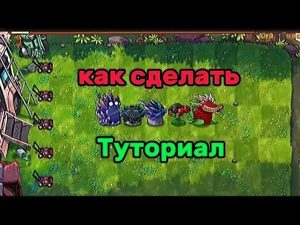 Как сделать королевскую тыкву в pvz fusion. Как сделать королевскую тыкву в pvz fusion