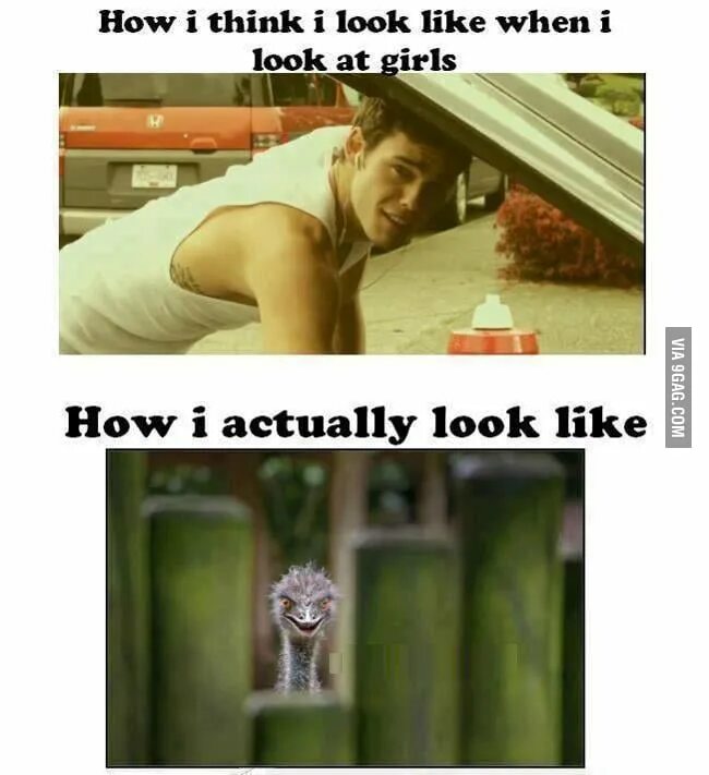 They like it when. Actually look at me текст. i look like meme. do i look like meme.