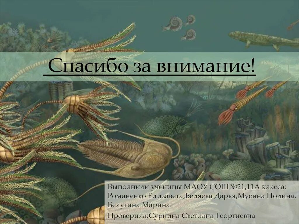 Основные организмы существовавшие на земле в палеозое. Кембрийский период палеозойской эры. Морские лилии палеозойской эры. Палеозойская Эра биология 11 класс. Презентация на тему Палеозойская Эра.