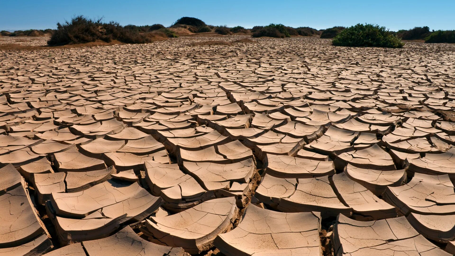 Потрескавшаяся земля в пустыне. Засуха. Засуха в России. Пустыня засуха.