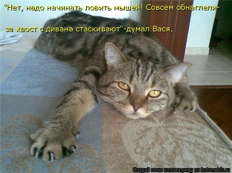 Совсем не хочешь совсем не хочу