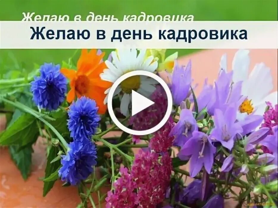 День кадровика уис 24 января. День кадровика. 24 мая день кадровика поздравления. день кадрового работника. открытка с днем кадровика 24 мая.