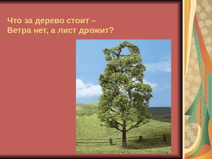 Осина. Загадка про осину для детей. Осина на ветру. Осеннее поле. Осина фото.