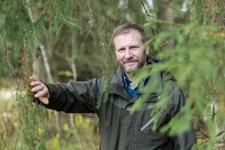 Советский лесничий. Внук лесника. Сын лесничего. Сын лесника. Юрий королёв лесник.