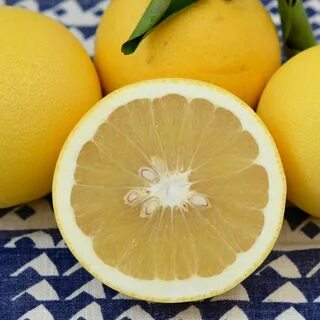 Фрукт как грейпфрут как называется