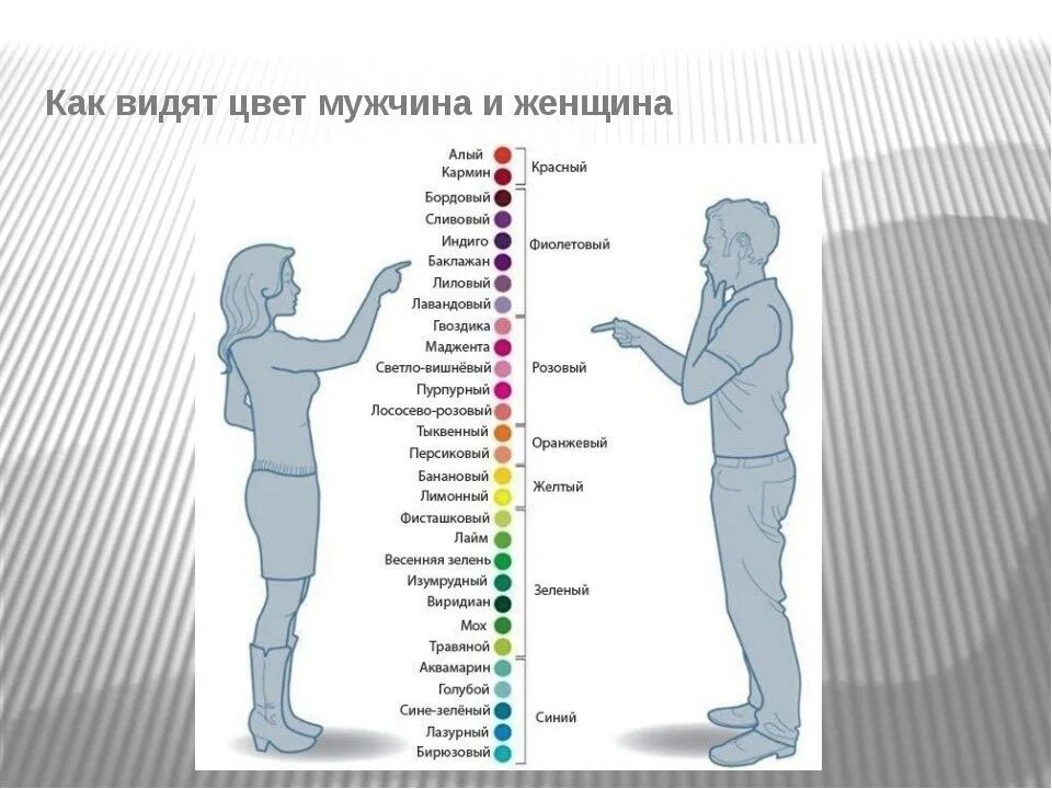 Восприятие цветов мужчинами и женщинами. Восприятие цвета мужчиной и женщиной. Цвета мужчины и женщины. Мужчины и женщины воспринимают цвета. Что видят мужчины 2