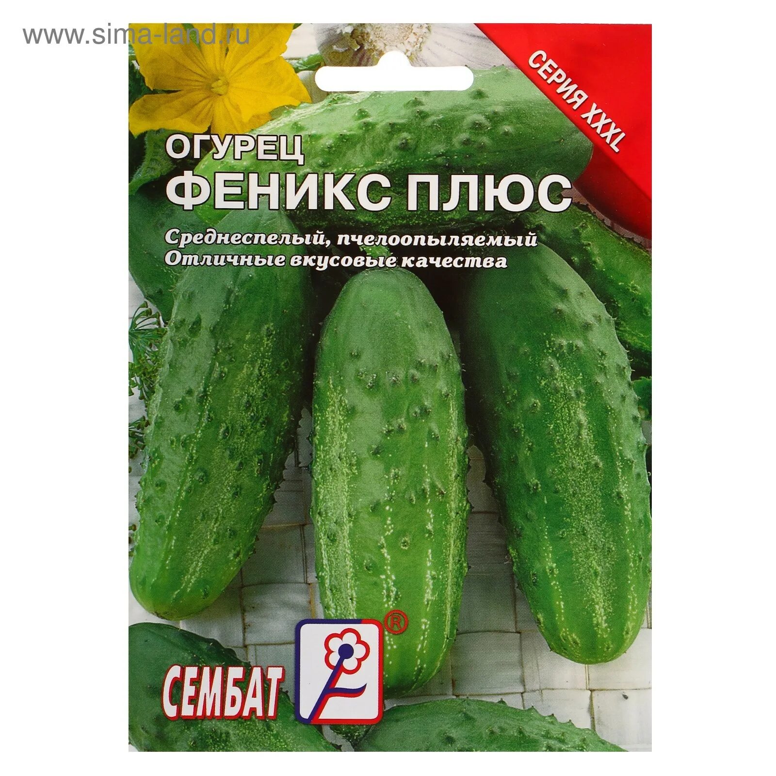 Огурцы сорт феникс 640. Огурец феникс 640 описание. Огурец феникс плюс описание отзывы. Огурец сорт феникс плюс. Огурец феникс плюс.