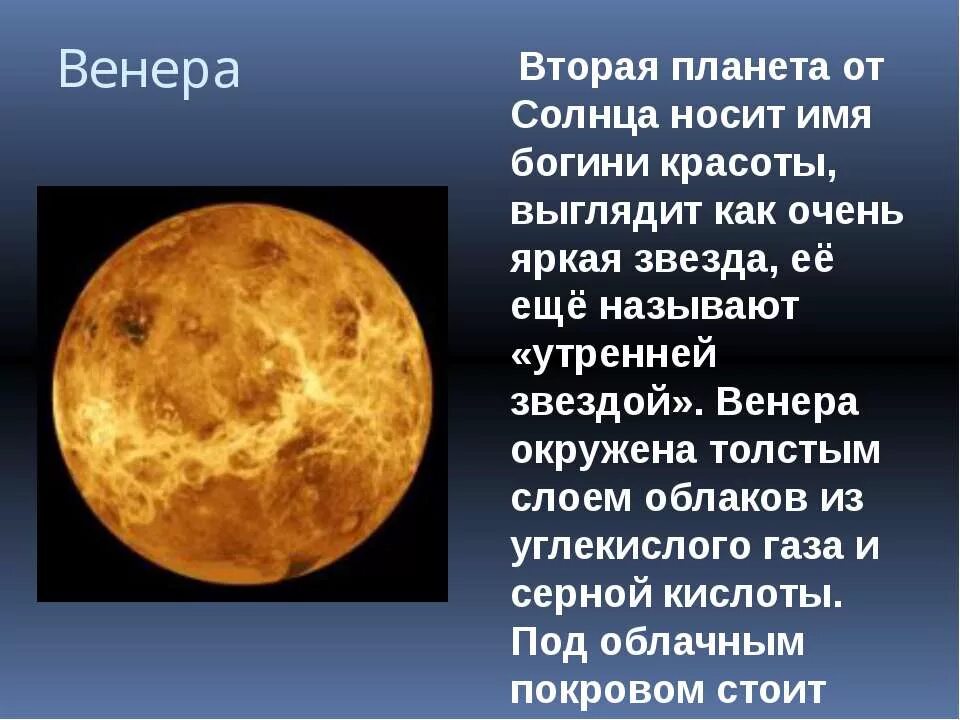 Основные сведения о Венере.